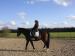 monitrice-d-equitation-donne-cours-particuliers Tours ( 37000 ) - Indre et Loire